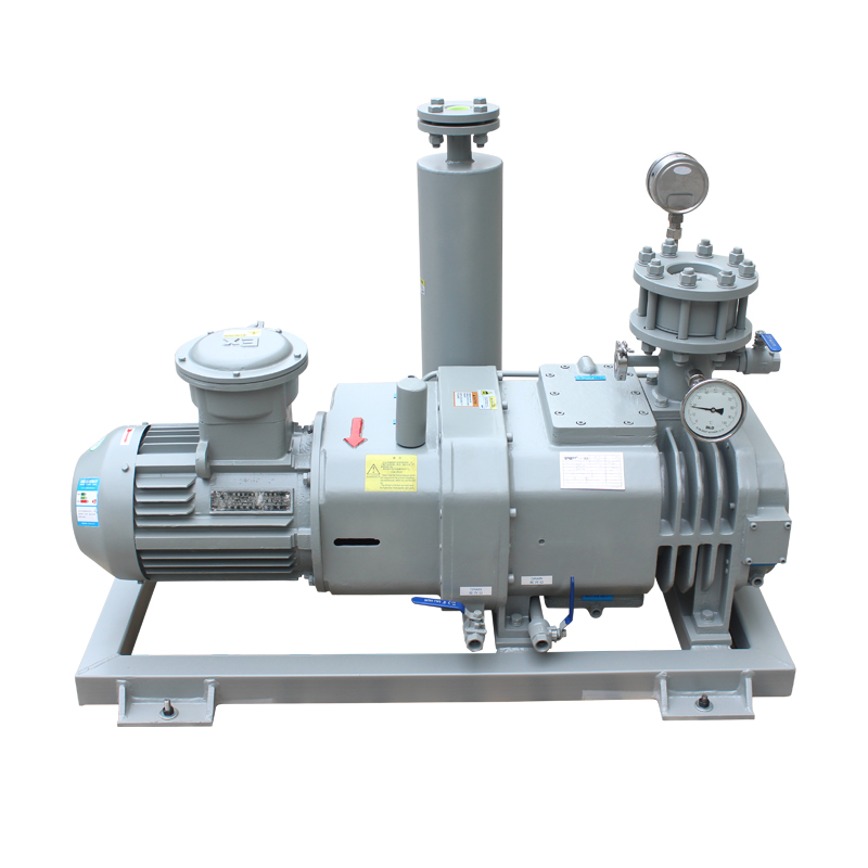 RSP800 Dry screw vacuum pump